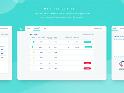 Web App Design charts forms medical tables ui ux