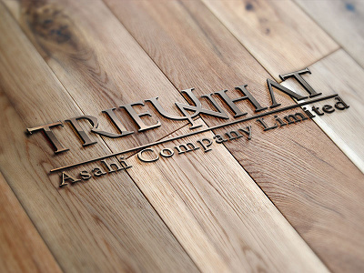 Trieunhat logo