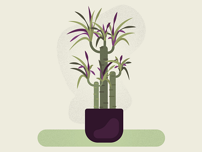 Dracaena plant on my desk desk dracaena flower green illustration plant purple