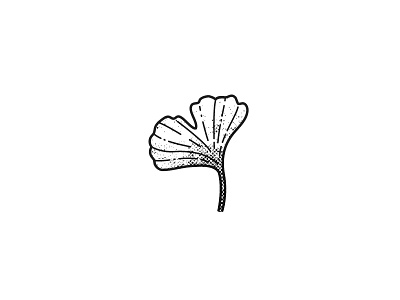 Ginko Leaf ginko illustration ink leaf nature simple tattoo texture zen