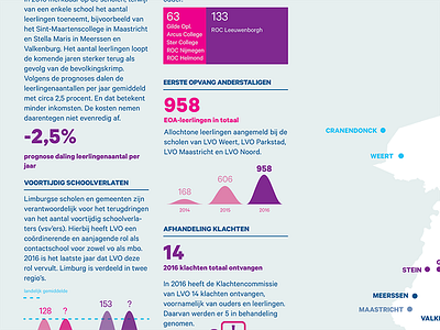 Visual annual report annual report infographics information design print