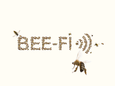 BEE-FI :)))