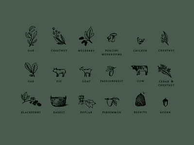 Farm Illustrations animals bee hive berries farm illustration leaves