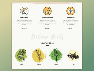 Milagro Herbs earthy food green herbs icons milagro organic ui design watercolor watercolour web design