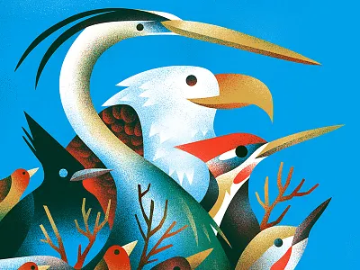 Birds Watching bird birds heron robin woodpecker