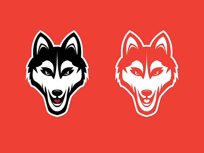 Dog maskote dog husky maskote redesign