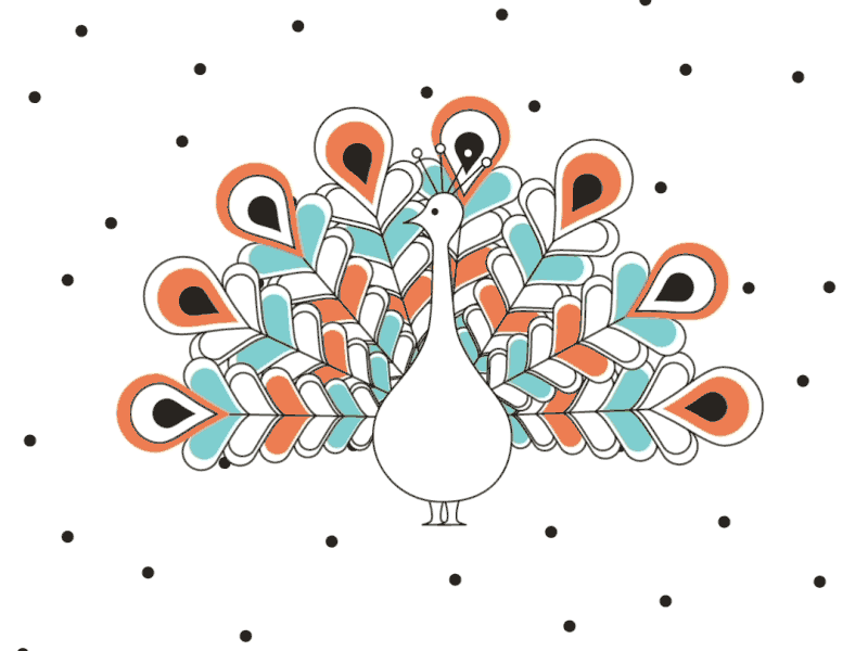 Peacock animation gif illustration line drawing peacock vector