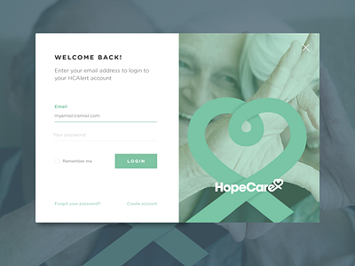 Login Screen inputs login modal