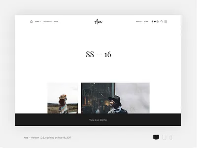 ThemeBeans 6.0 Hero Area clean hero hero area icons responsive shadow theme theme shop themebeans wordpress