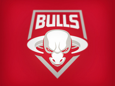 Bulls basketball bull chicago bulls logo nba redesign sport team