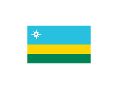 Washington State Flag 2 flag graphic design pacific northwest pnw vexillology washington
