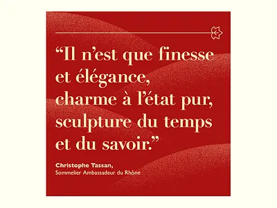 French wine 100 bodoni french fruit gill gradient grapes red rhône textures typography wine