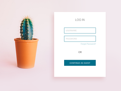 Daily UI challenge #064 — User Type dailyui