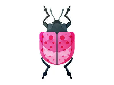 The Bug Project. beetle bug design habitat icon illustrations insect nature project texture