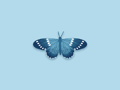 Butterfly bug butterfly garden illustration photoshop