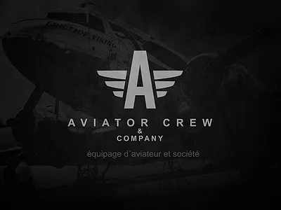 Aviator Crew aviator brand branding crew design graphic identity logo wings