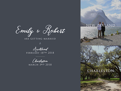 Wedding Website announcement save the date wedding