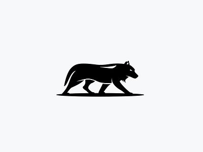 Coyote black coyote lion mountain nature shape silhouette white wild wilderness