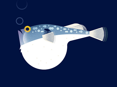 Fugu Fish animals blowfish fish fugu illustration japan pufferfish