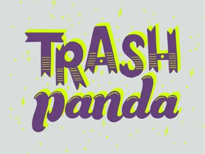 Trash Panda hand lettering lettering racoon rocket type typography