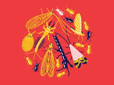 little friends animals illustrations insects