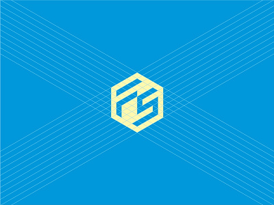 FS branding fs hexagonal identity logo