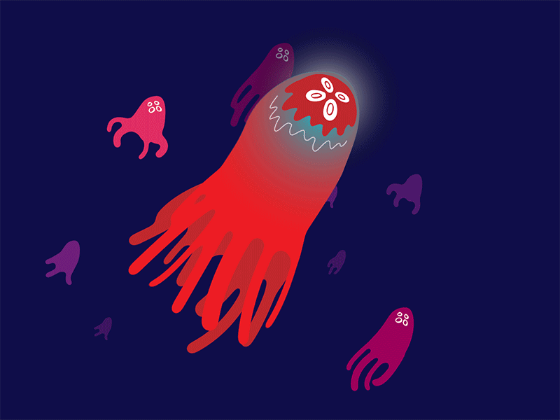 Jellyfish ae after effects animation fish jellyfish ocean sea swimming