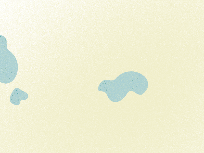 Turtle Run Turtle Run :-) animation beach effect gif grain run turtle wave