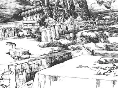 Nature line drawing linework