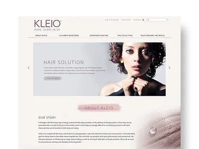 Kleio Website design interface kuala lumpur malaysian designer uiux web web design website