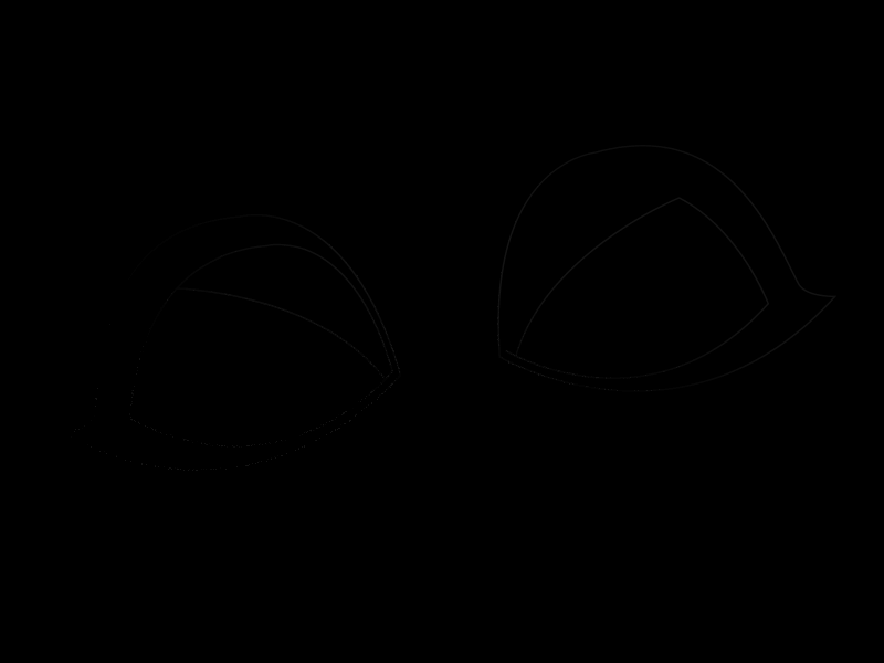 cat in the box animation black box cat eye gif view white