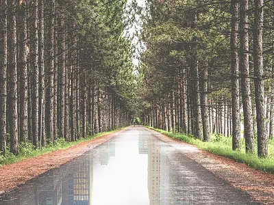 " C O N C R E T E - J U N G L E " concretejungle double doubleexposure exposure librestock photomanipulation photoshop