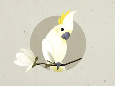 Parrot animal bird cute flower icon illustration parrot pet spring