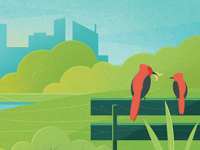 Momma bird bird city drawing illustration nature photoshop print urban vector worm