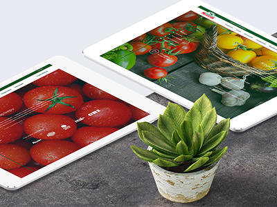 Moscow Agroholding agroholding company moscow site web