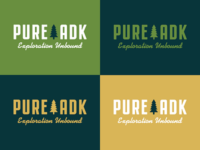 Pure ADK Logo Color Variations adirondacks logo new york upstate