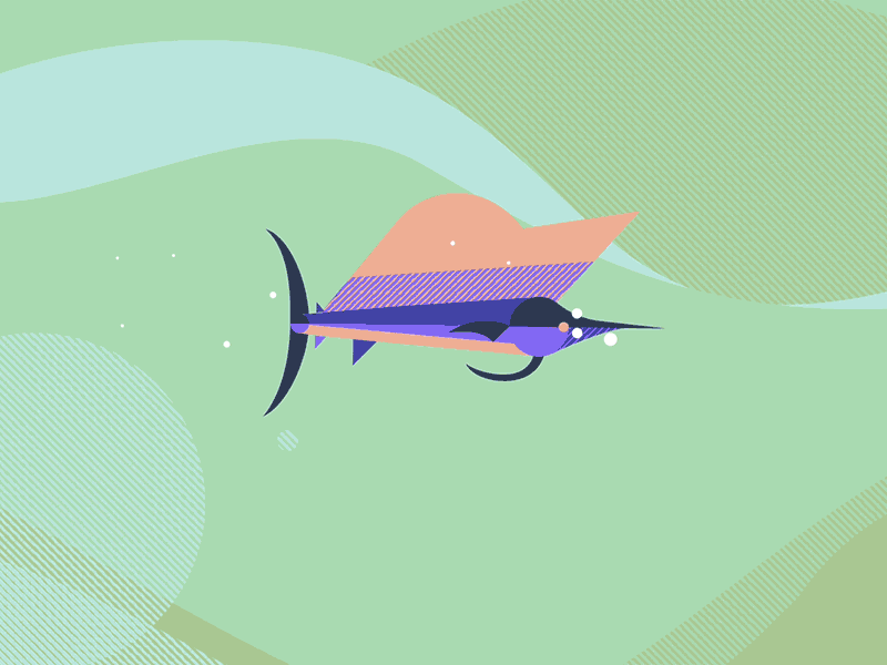 Sailfish Ad cycle fish loop nike sailfish transition water