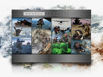 Military Wall Display