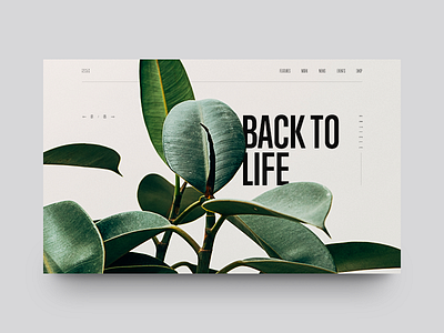 Back to Life clean editorial green minimal munich plant type typography ui