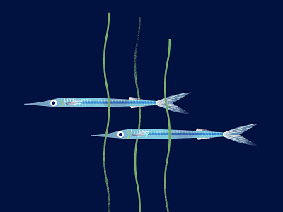 Sayori Fish animals fish illustration japan