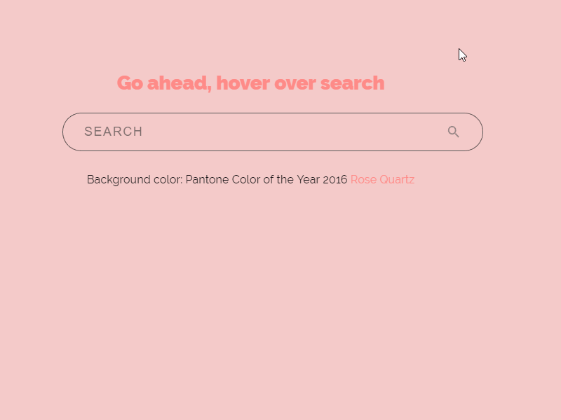 Example of Search input animation