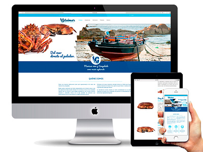 Web Design Responsive Gelaimar brand restyling web design