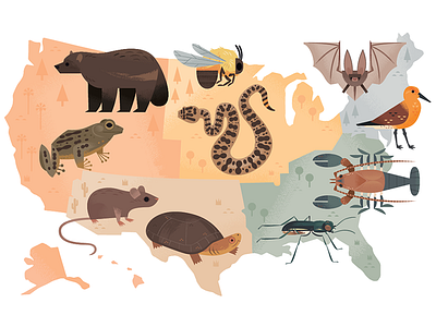 Endangered Species Map animals illustration map map design nature wildlife