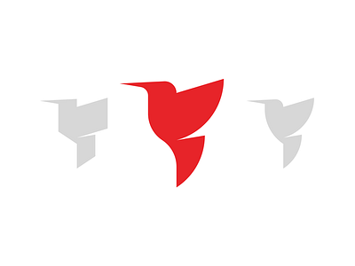 Design by accidant - Humming-bird accidant bird humming bird icon logo logotype