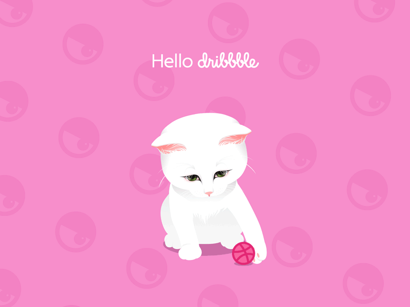 First shot animation cat first illustrator shot