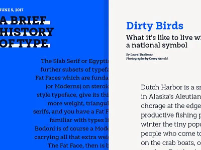 Working in new Type Specimens design magazine retail script slab type typography