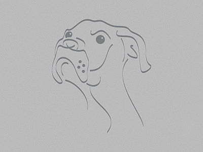 Study dog face illustration line sketch