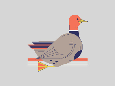 Duck animal book duck editorial flat grey illustration minimal science simple vector