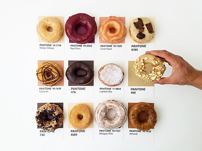 Happy National Donut Day design donut donuts dribbble food hungry national donut day pantone photography