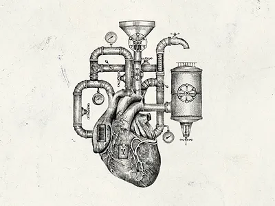 Anatomical Heart